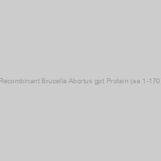 Image of Recombinant Brucella Abortus gpt Protein (aa 1-170)